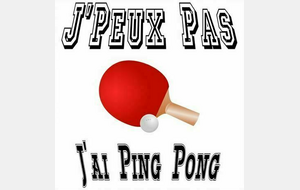 A la découverte du Ping !